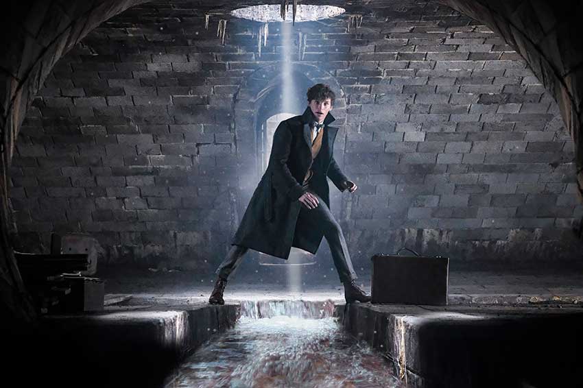Eddie Redmayne Fantastic Beasts Crimes of Grindelwald FB2 03580r