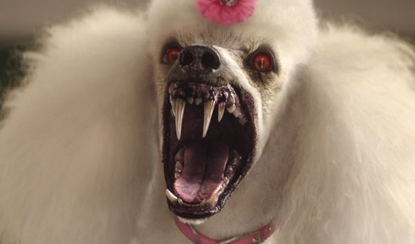 Goosebumps movie monsters poodle