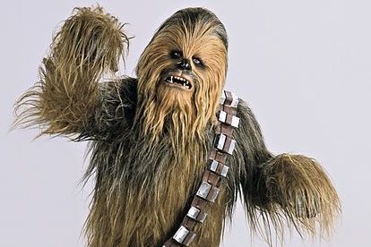 6 Reasons Why Chewbacca Could Be Mexican