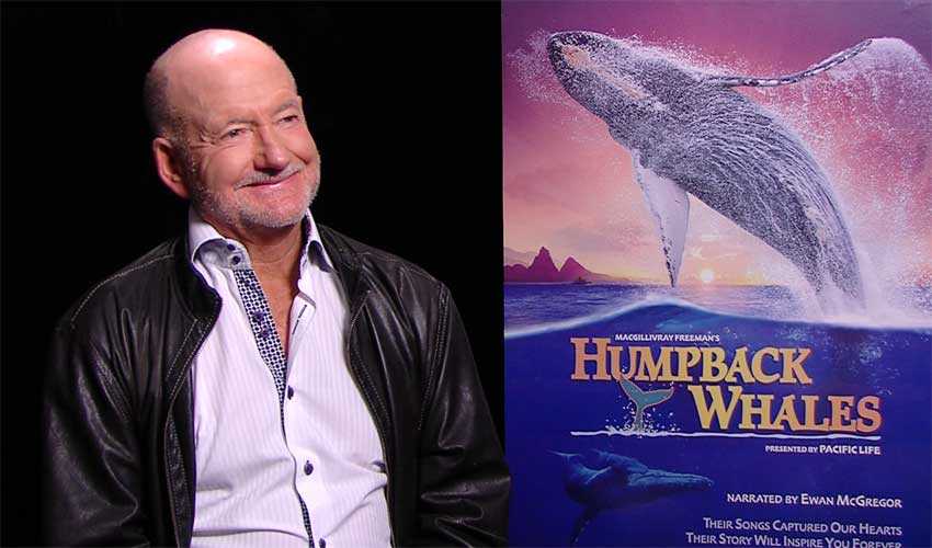 Humpback Whales 3-D Director Greg MacGillivray Talks Whale Watching in 3D