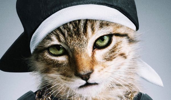Keegan-Michael Key and Jordan Peele Go Gangsters in 'Keanu' Movie Trailer and Poster
