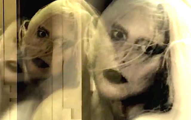 New 'American Horror Story: Hotel' Trailer Is Short Lady Gaga Music Video