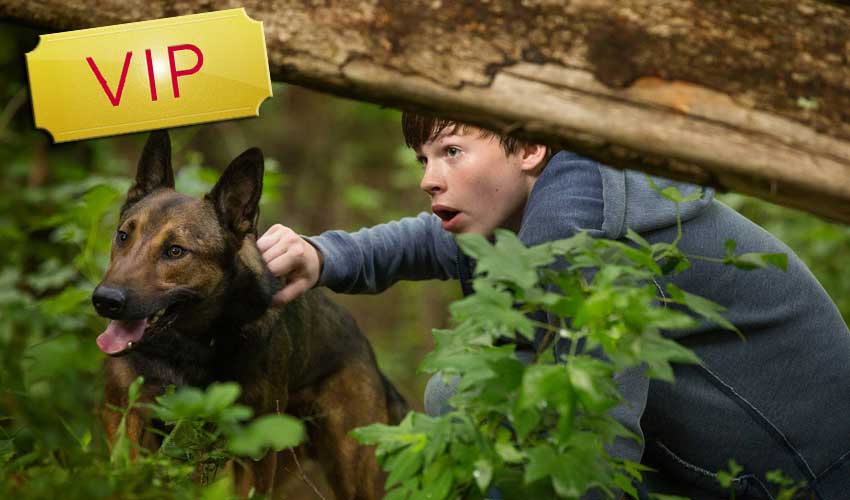 MAX movie