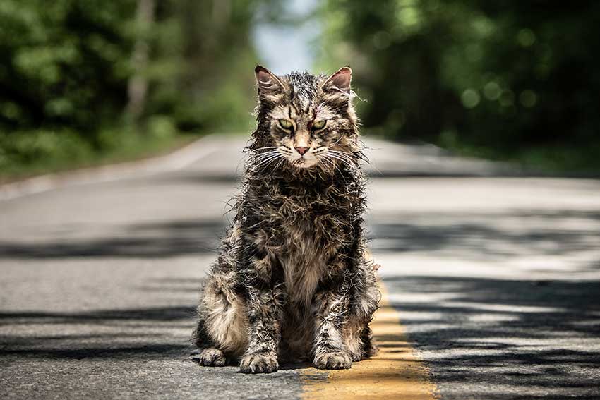 New 'Pet Sematary' Movie Trailer and Poster: Reboot Sticks Closer To Novel