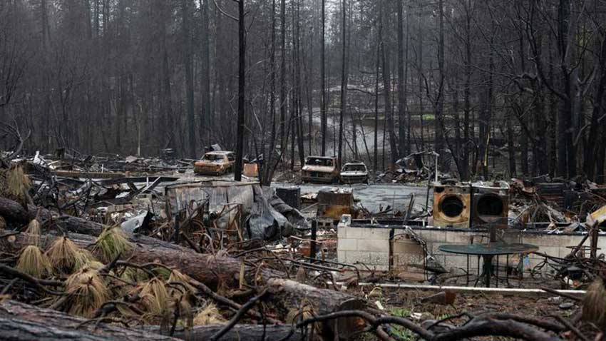 Rebuilding Paradise documentary still