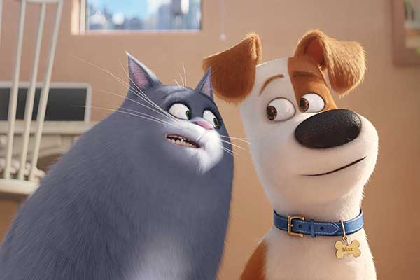 Secret Life of Pets Chloe Cat