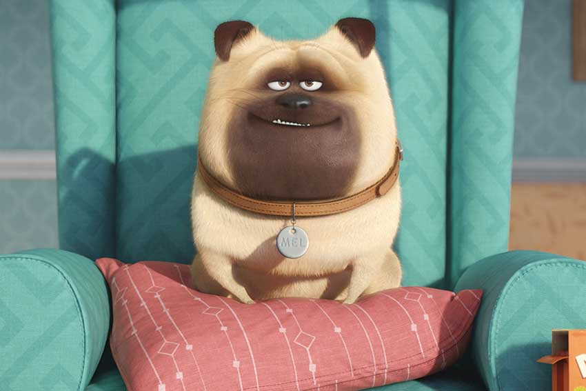Secret Life of Pets dog