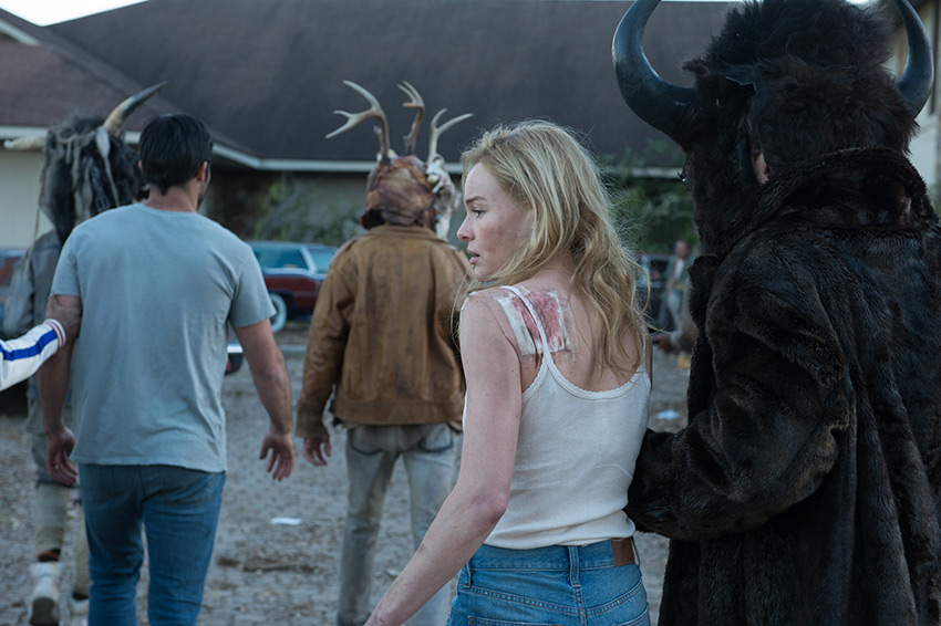 The Domestics Kate Bosworth