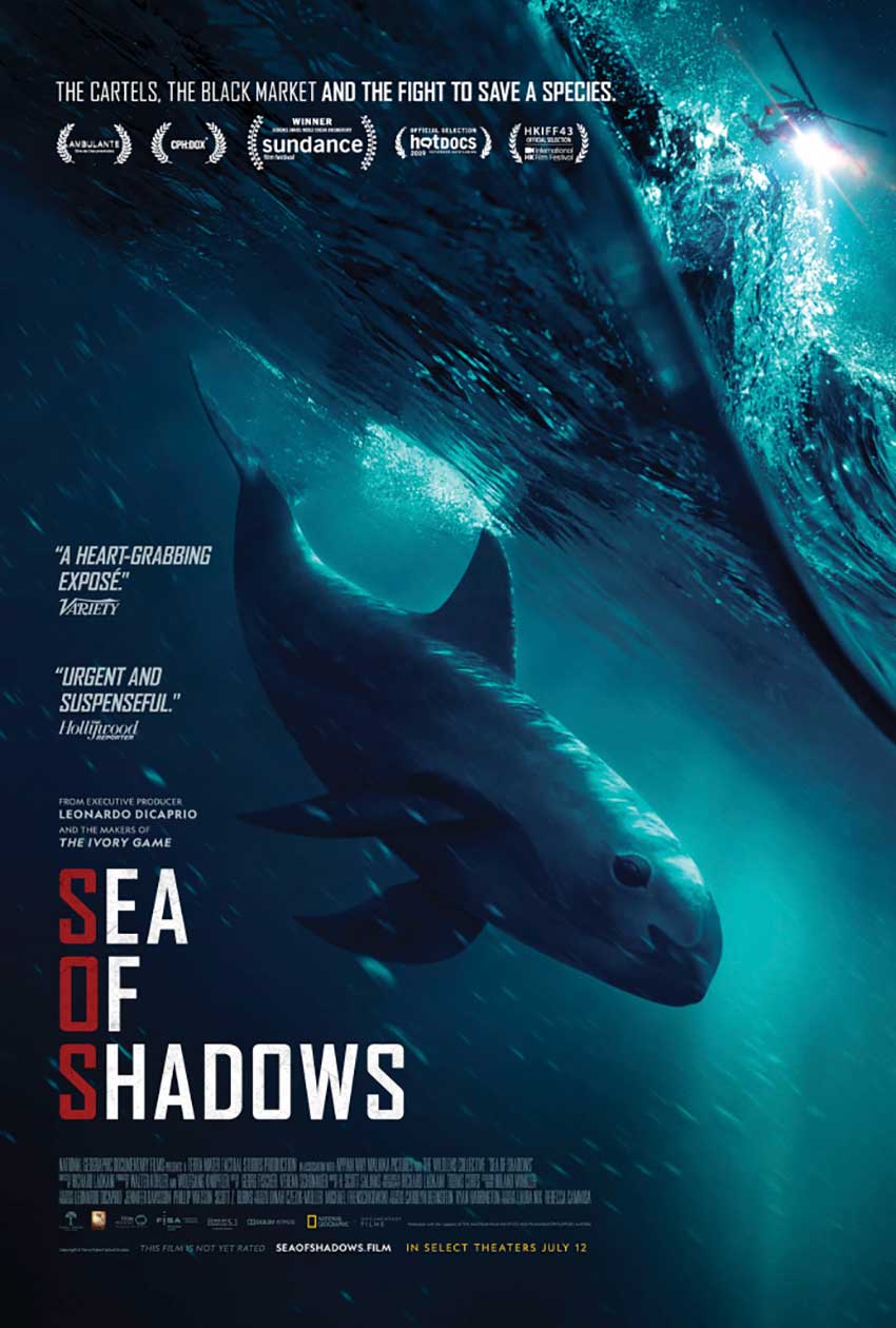 Mexican Journalist Carlos Loret de Mola Threatened by Narcos Over 'Sea of Shadows' Documentary