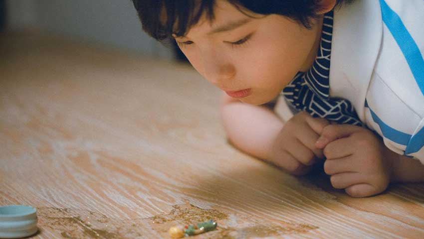 Acclaimed filmmaker Hirokazu Koreeda's latest drama, Sheep in the Box