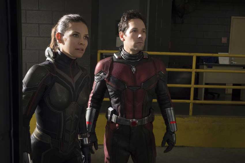 Ant Man And The Wasp Paul Rudd Evangeline Lilly