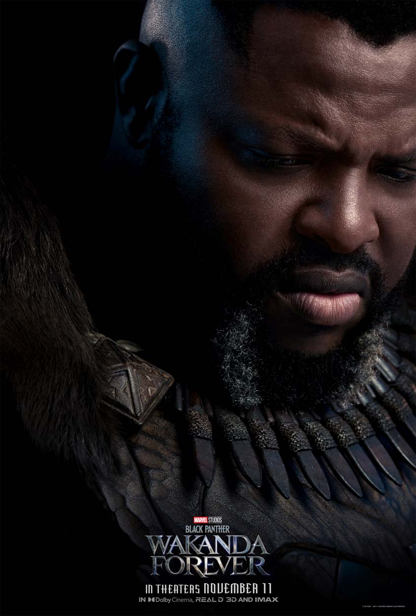 BlackPanther2 CharacterPosters MBaku v2 lg