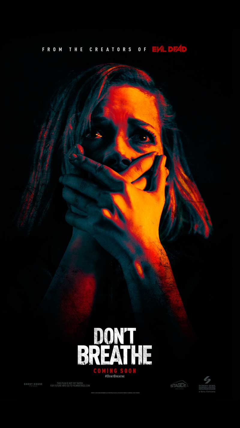 Dont Breathe movie poster image
