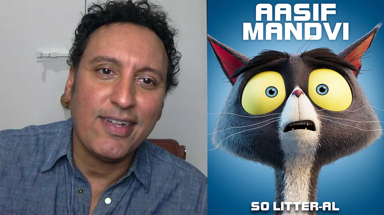 Paws of Fury actor Aasif Mandvi interview