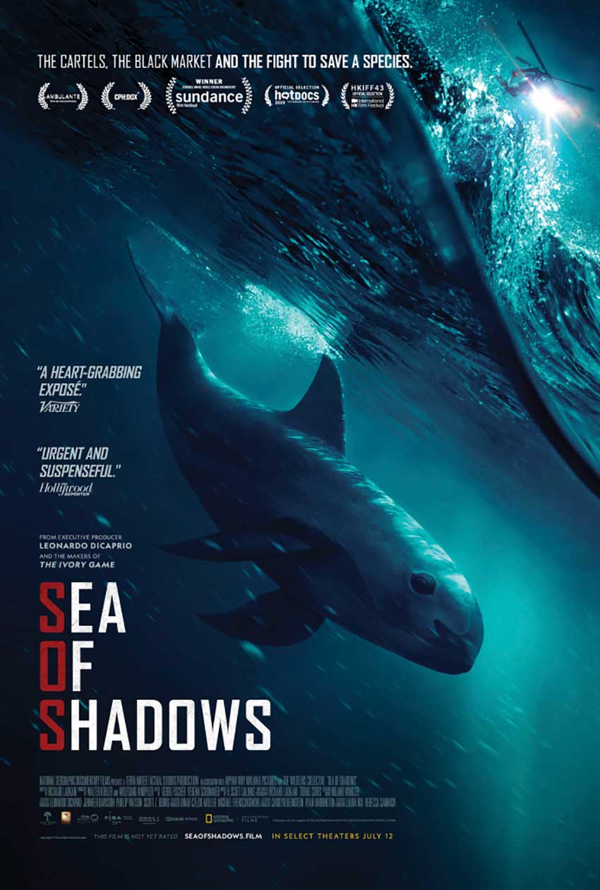 sea of shadows documentary poster