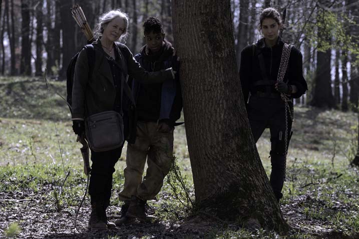 Walking Dead Season 11 image
