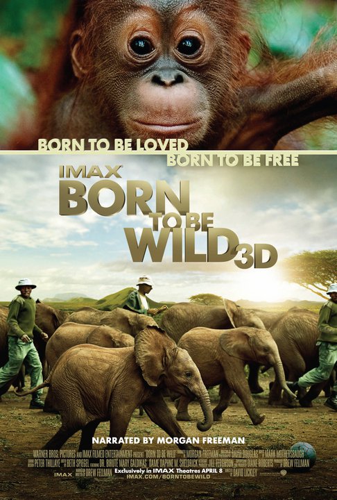 Born To Be Wild movie poster
